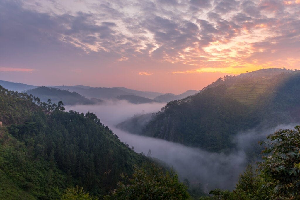 Beautiful,Landscape,In,Southwestern,Uganda,,At,The,Bwindi,Impenetrable,Forest » Tembo Safari